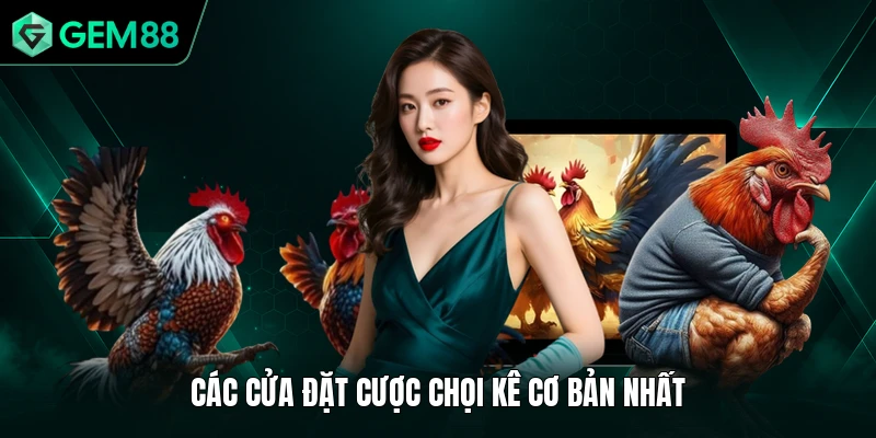 Đá Gà GEM88 3 Các cửa đặt cược chọi kê cơ bản nhất