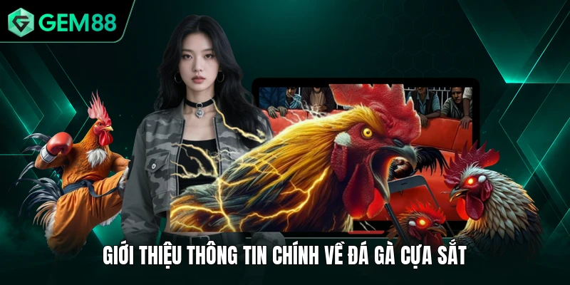 Đá Gà Cựa Sắt - Bỏ Túi Các Kiến Thức Cơ Bản, Đầy Đủ Nhất 1 Giới thiệu thông tin chính về đá gà cựa sắt