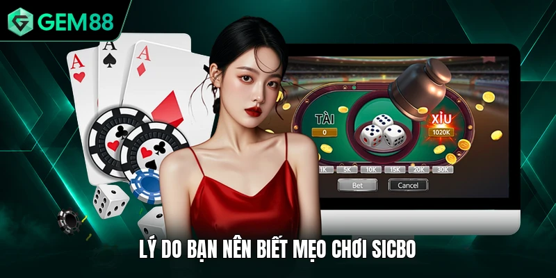 Mẹo Chơi Sicbo - Bí Quyết Chiến Thắng 99% Từ Cao Thủ 1 Lý do bạn nên biết mẹo chơi Sicbo