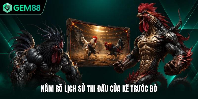 Đá Gà Thomo - Trận Đấu Siêu Kịch Tính, So Tài Đỉnh Cao 3 Nắm rõ lịch sử thi đấu của kê trước đó