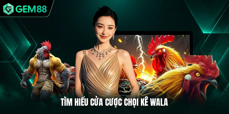Đá Gà Cựa Sắt - Bỏ Túi Các Kiến Thức Cơ Bản, Đầy Đủ Nhất 2 Tìm hiểu cửa cược chọi kê Wala