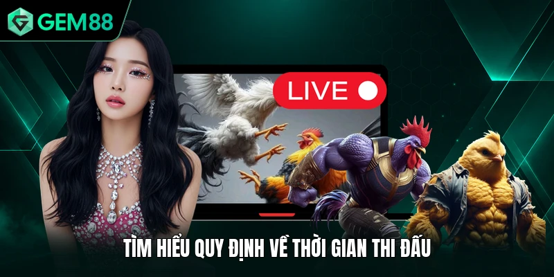 Đá Gà Thomo - Trận Đấu Siêu Kịch Tính, So Tài Đỉnh Cao 2 Tìm hiểu quy định về thời gian thi đấu